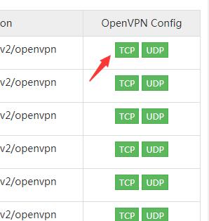 OpenVPN-4.jpg